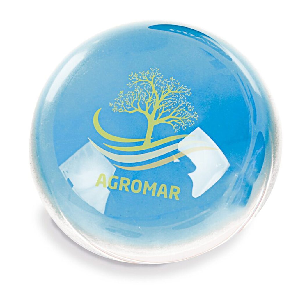 Pisapapeles de Cristal PP01 con Grabado Personalizado
